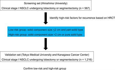 Identification of High-Risk of Recurrence in Clinical Stage I Non-Small Cell Lung Cancer